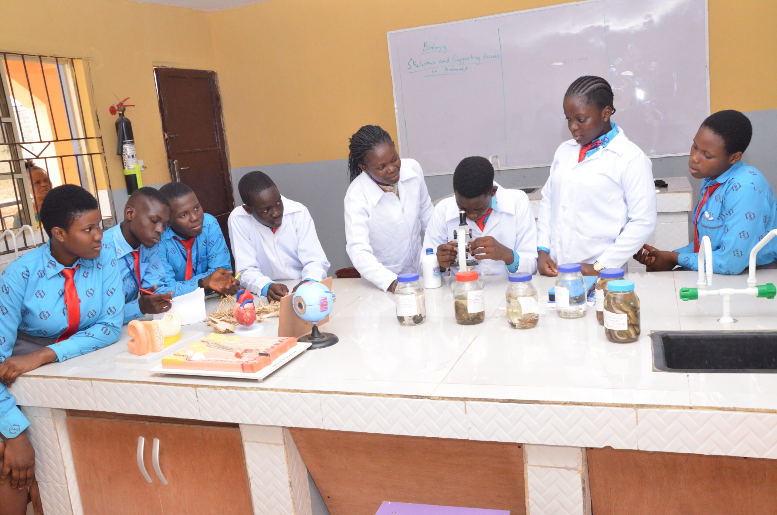 kezino_activities_image